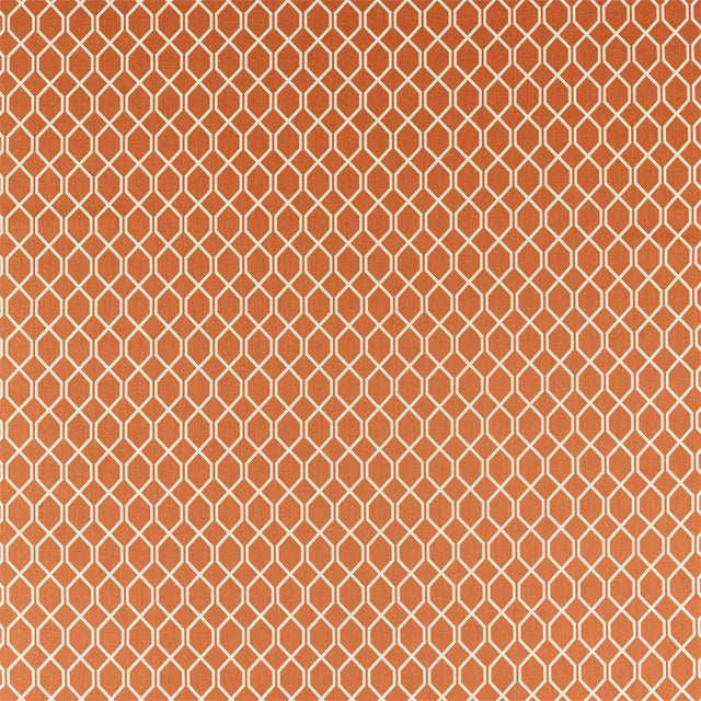 Sanderson Botanic Trellis Papaya Fabric