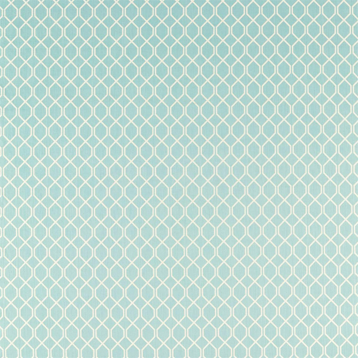 Sanderson Botanic Trellis Blue Clay Fabric