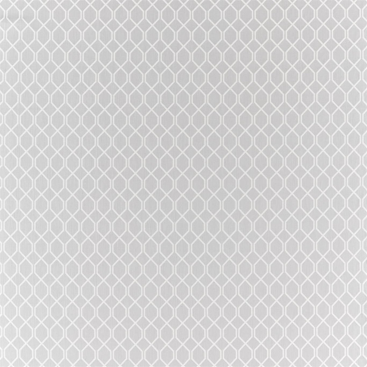 Sanderson Botanic Trellis Stone Grey Fabric