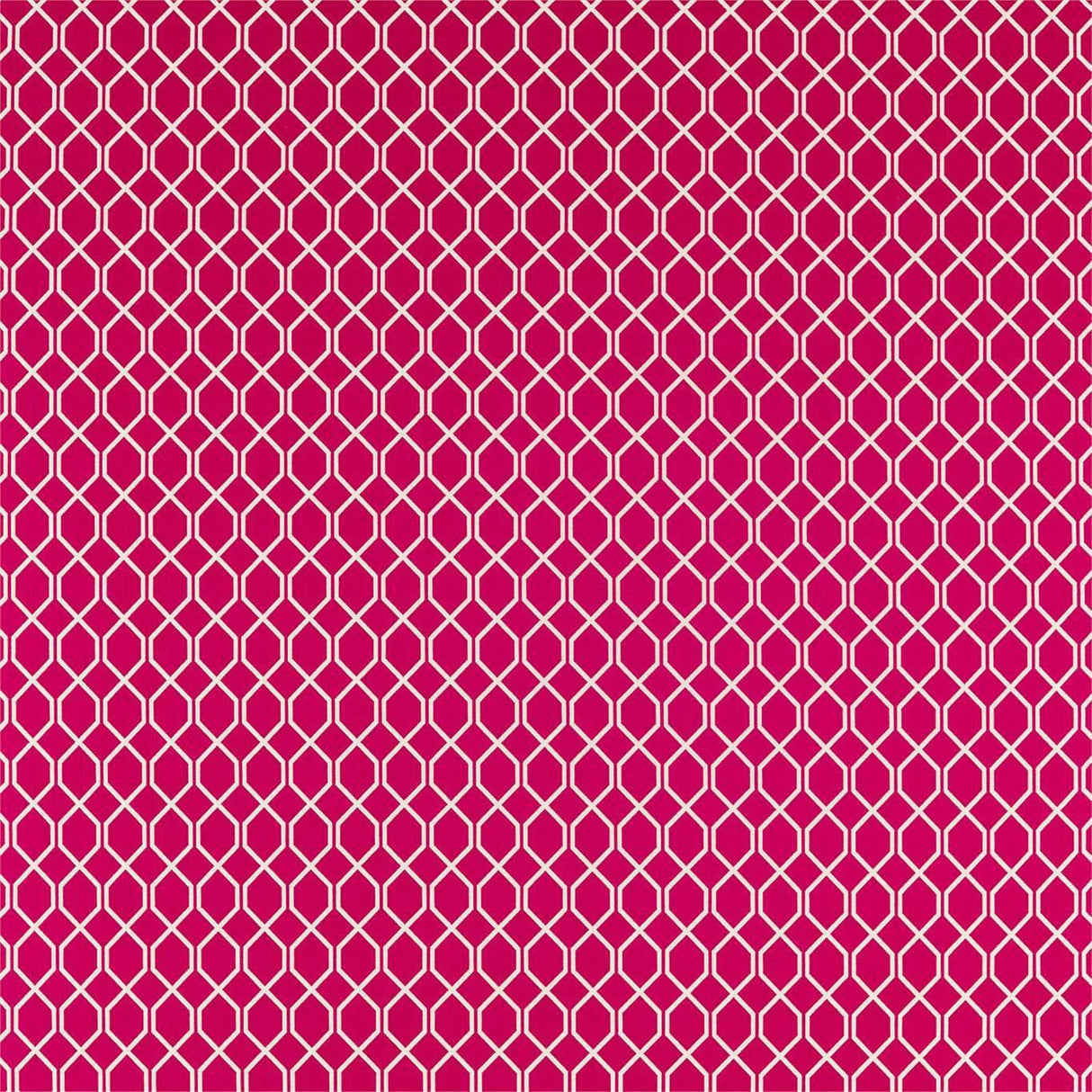 Sanderson Botanic Trellis Rhodera Fabric