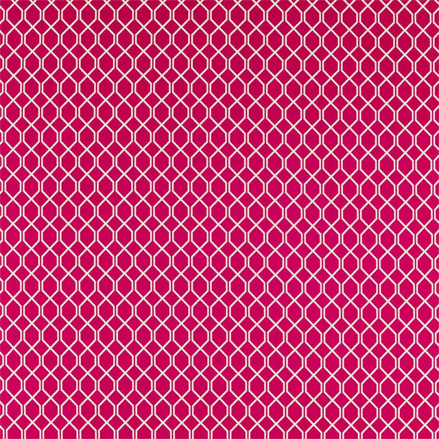 Sanderson Botanic Trellis Rhodera Fabric