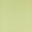 Sanderson Nelson Lime Fabric