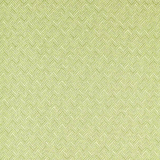 Sanderson Nelson Lime Fabric