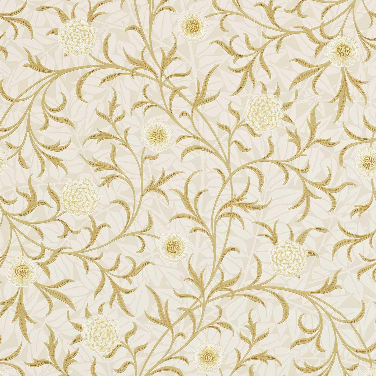 Morris & Co Scroll Vellum/Biscuit Wallpaper