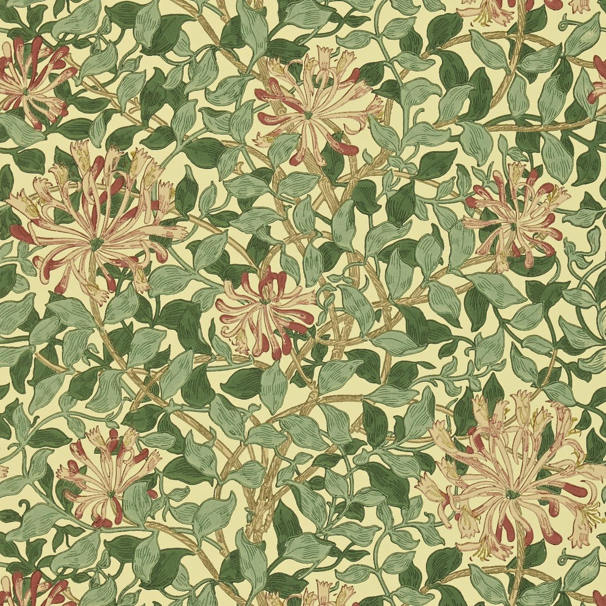 Morris & Co Honeysuckle Green/ Coral/Pink Wallpaper
