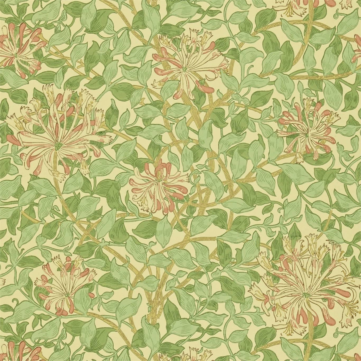 Morris & co Honeysuckle Green/Beige/Pink Wallpaper