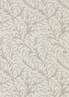 Morris & Co Pure Willow Bough Dove/Ivory Wallpaper