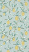 Morris & Co Lemon Tree Wedgewood Wallpaper