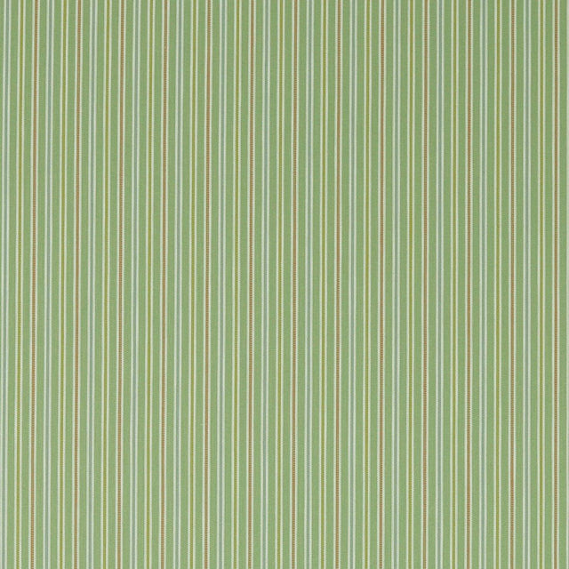 Sanderson Melford Stripe Fern Fabric