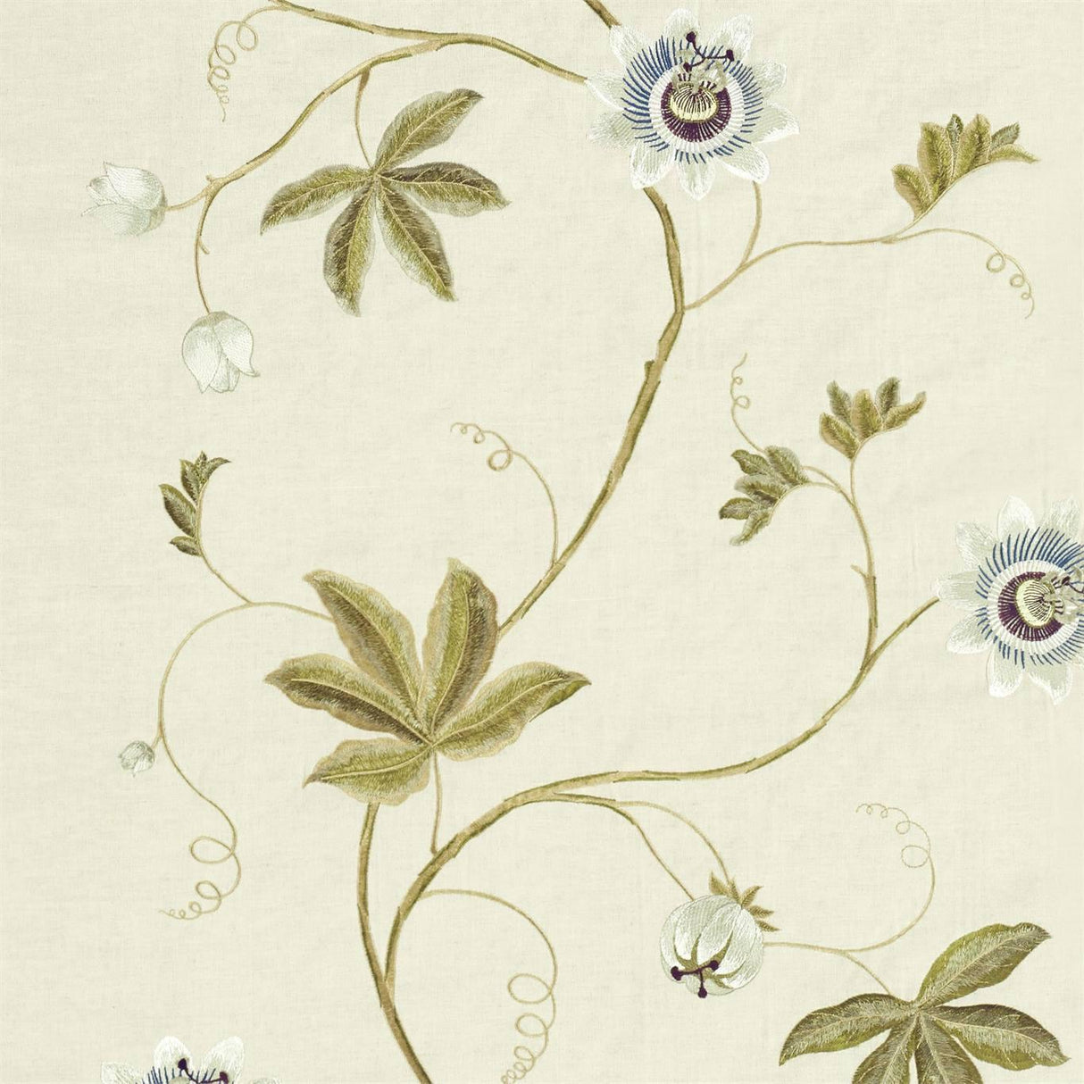 Sanderson Passion Vine Sage Fabric