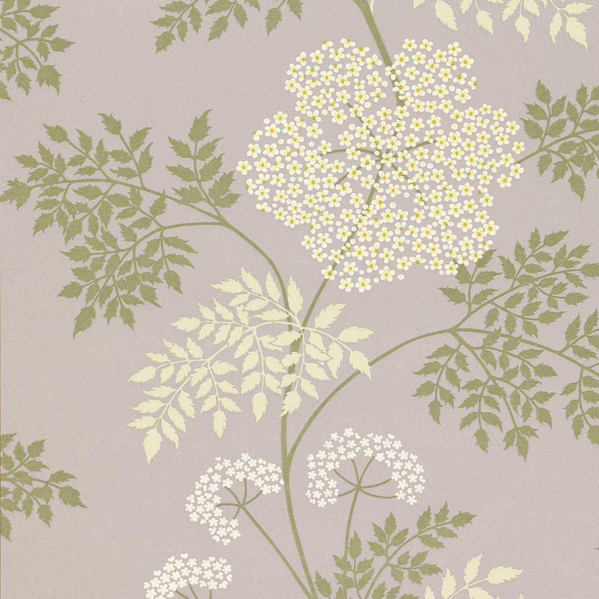 Sanderson Cowparsley Amethyst Wallpaper
