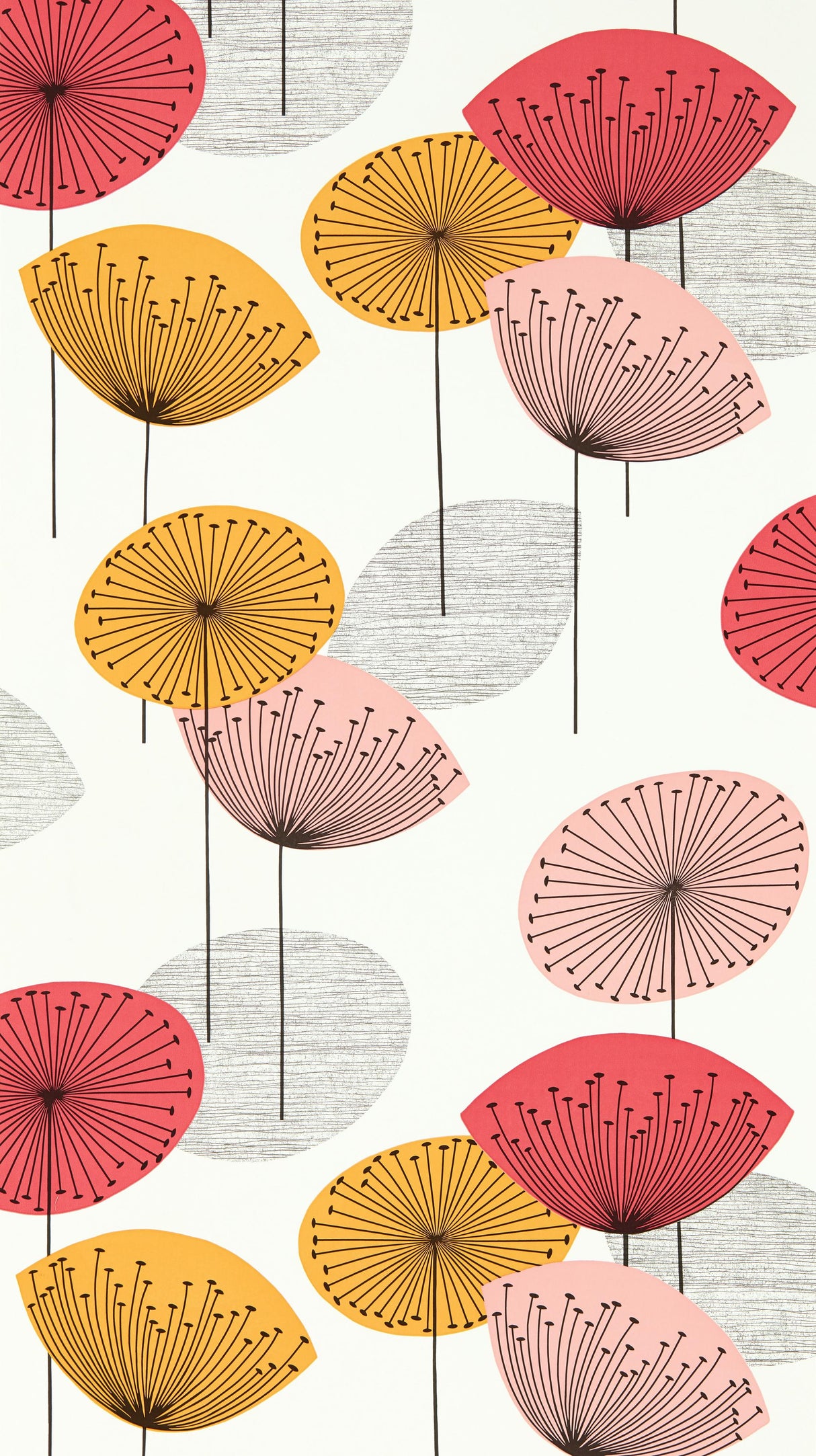 Sanderson Dandelion Clocks Coral Wallpaper