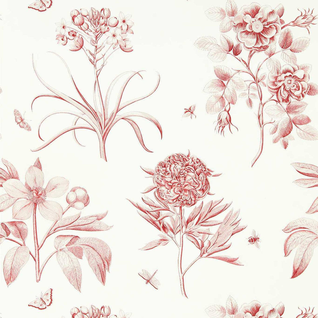 Sanderson Etchings & Roses Amanpuri Red Wallpaper