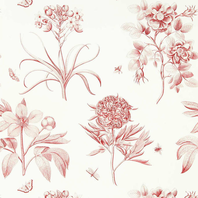 Sanderson Etchings & Roses Amanpuri Red Wallpaper