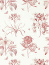 Sanderson Etchings & Roses Amanpuri Red Wallpaper