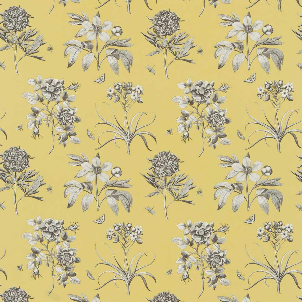 Sanderson Etchings & Rose Empire Yellow Fabric