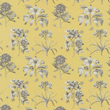 Sanderson Etchings & Rose Empire Yellow Fabric