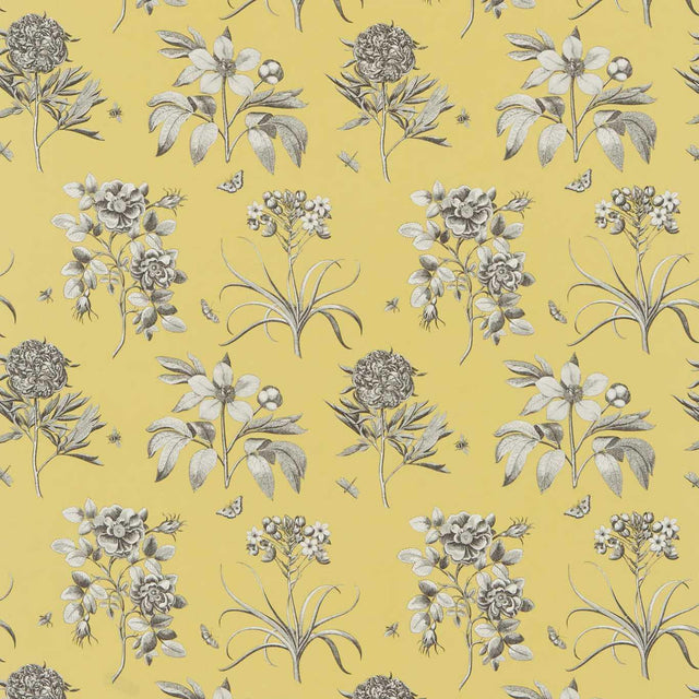 Sanderson Etchings & Rose Empire Yellow Fabric
