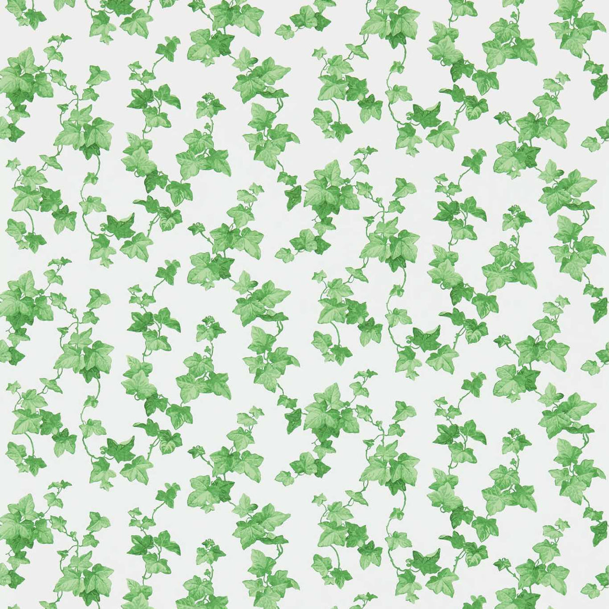 Sanderson Hedera Green Wallpaper