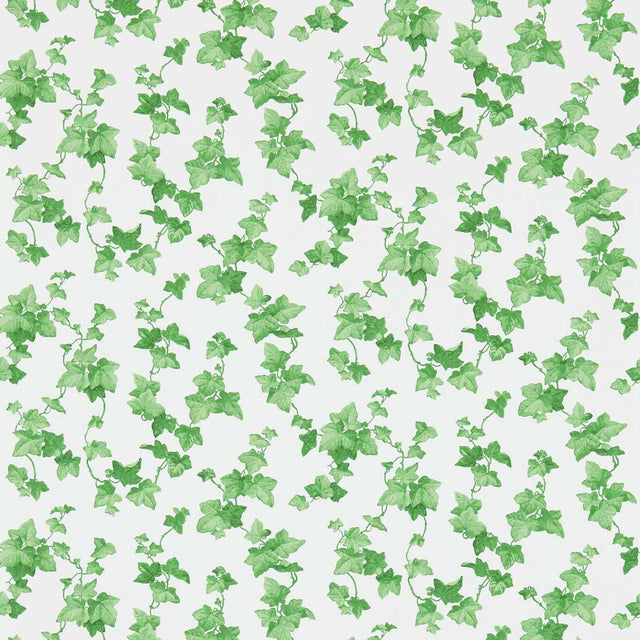 Sanderson Hedera Green Wallpaper