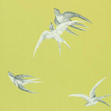 Sanderson Swallows Lime Wallpaper
