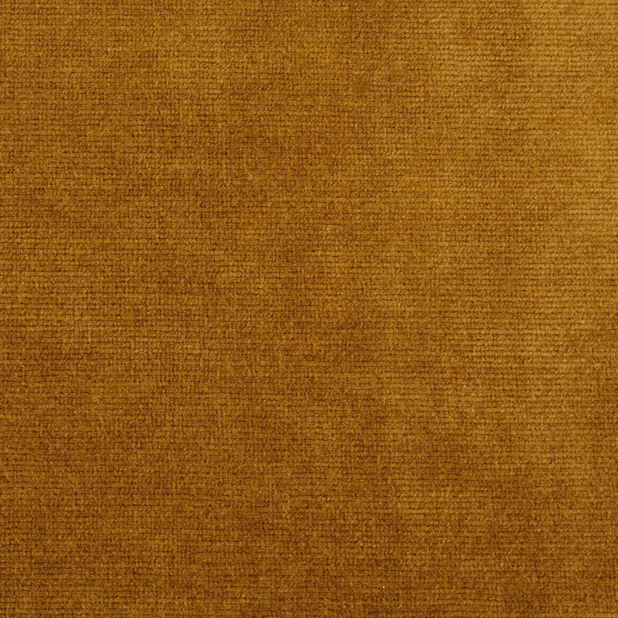 Sanderson Boho Velvets Old Gold Fabric