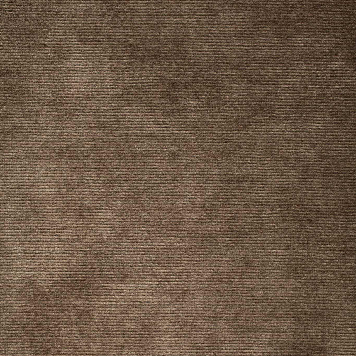 Sanderson Boho Velvets Almond Fabric