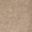 Sanderson Boho Velvets Oyster Fabric