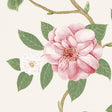 Sanderson Christabel Coral/Ivory Wallpaper