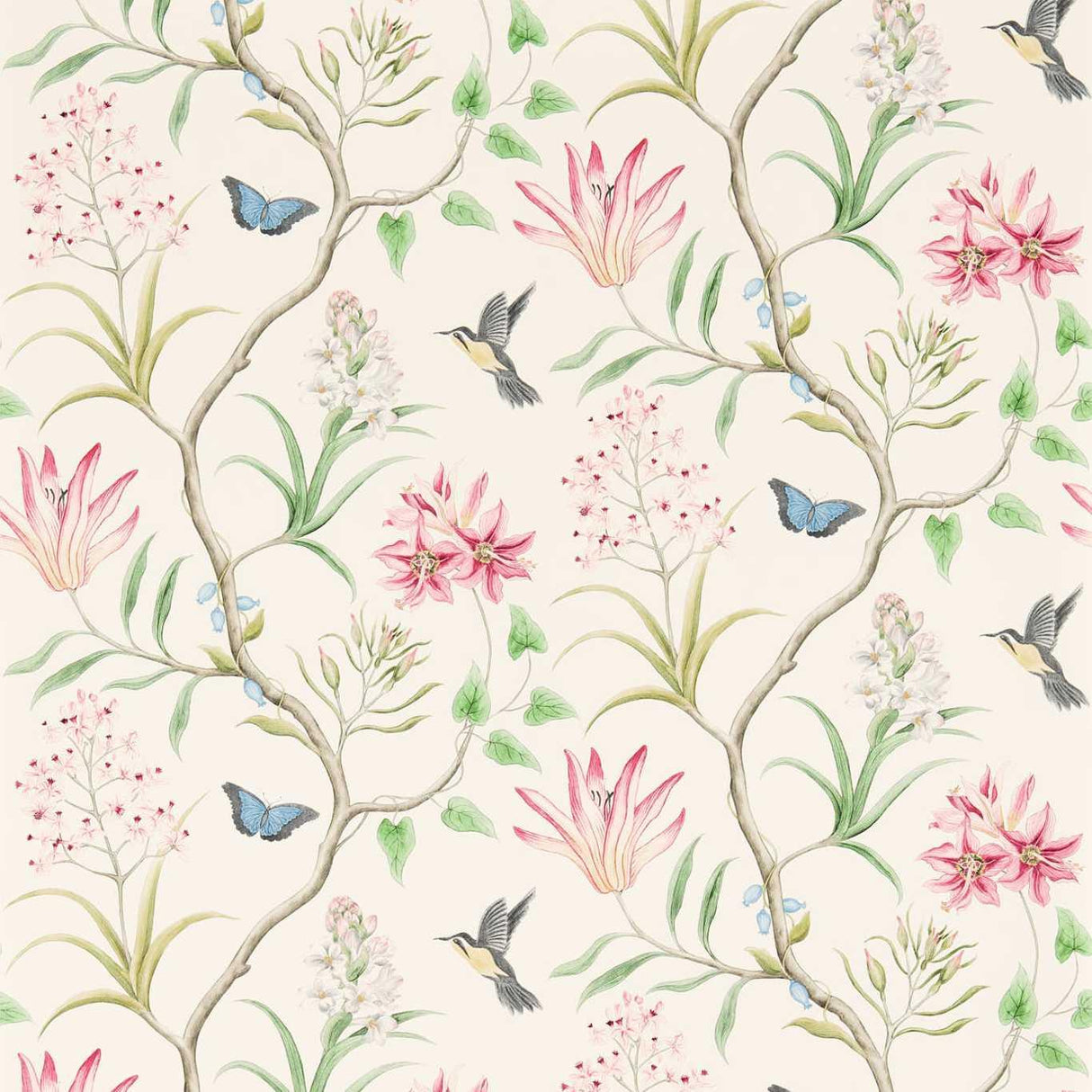 Sanderson Clementine Chintz Wallpaper