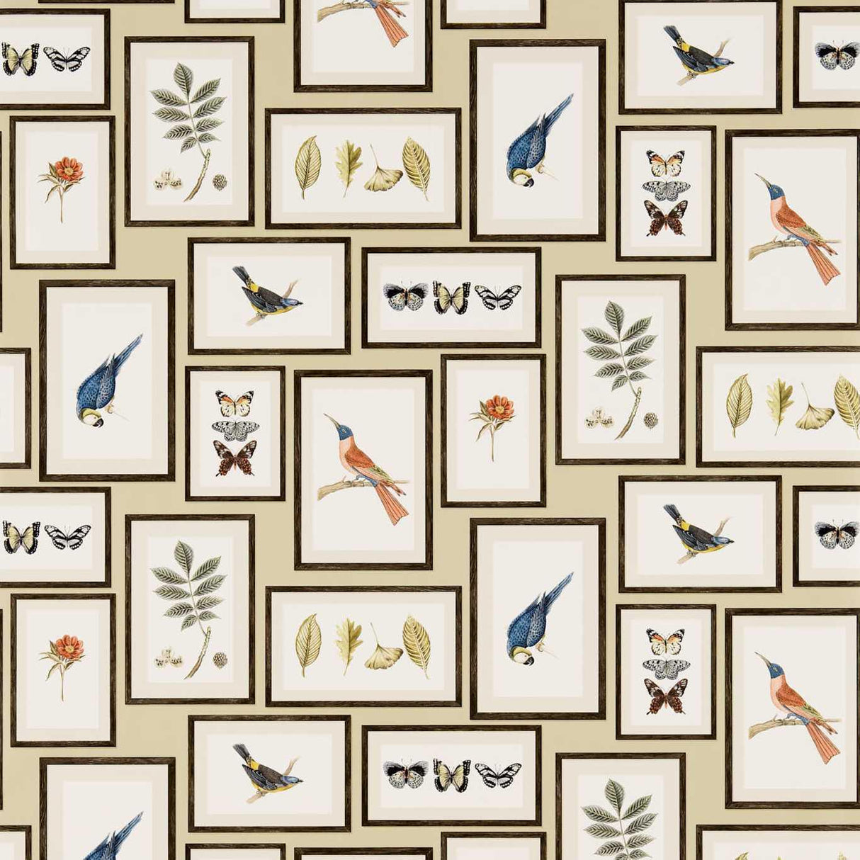 Sanderson Picture Gallery Sand/Multi Wallpaper