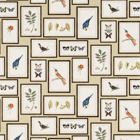 Sanderson Picture Gallery Sand/Multi Wallpaper