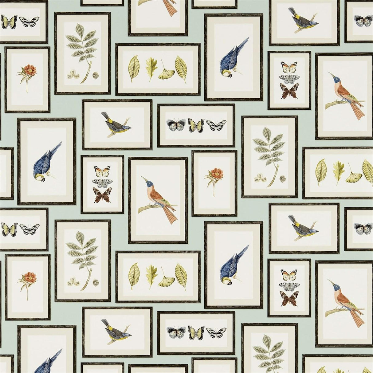 Sanderson Picture Gallery Aqua/Multi Wallpaper