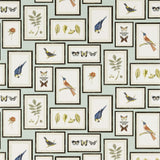 Sanderson Picture Gallery Aqua/Multi Wallpaper