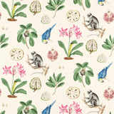 Sanderson Capuchins Chintz Fabric