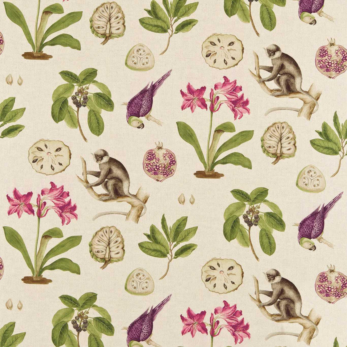Sanderson Capuchins Boysenberry Fabric