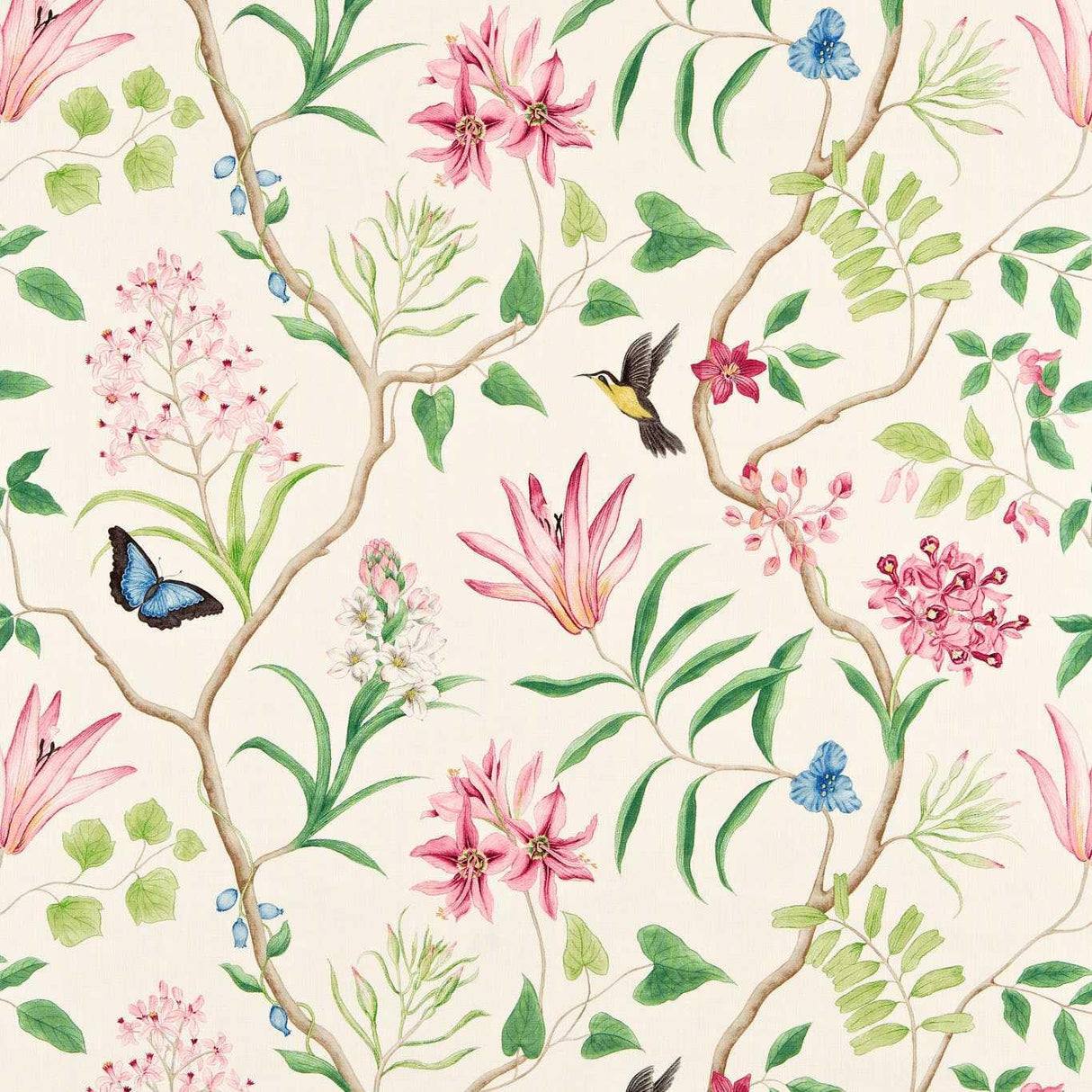 Sanderson Clementine Chintz Fabric