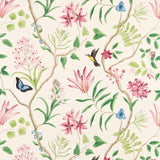 Sanderson Clementine Chintz Fabric
