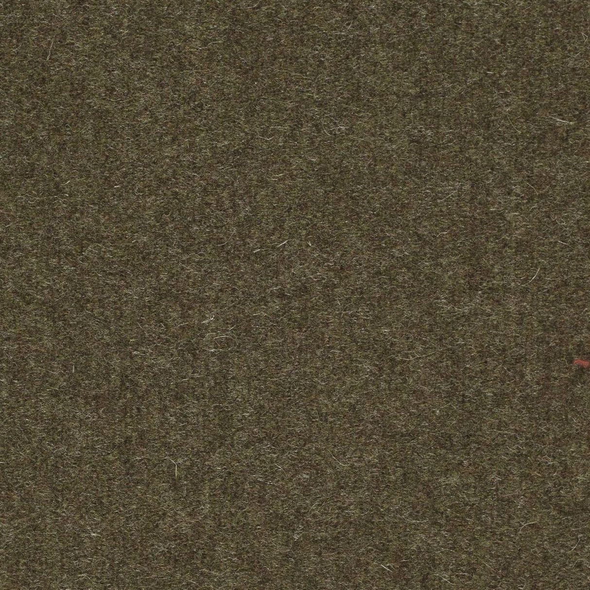 Sanderson Byron Wool Plains Moss Fabric