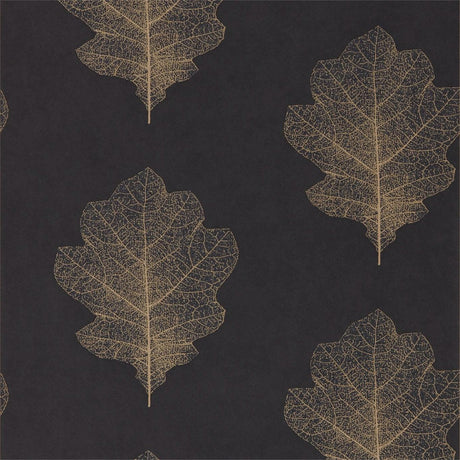 Sanderson Oak Filigree Charcoal/Bronze Wallpaper