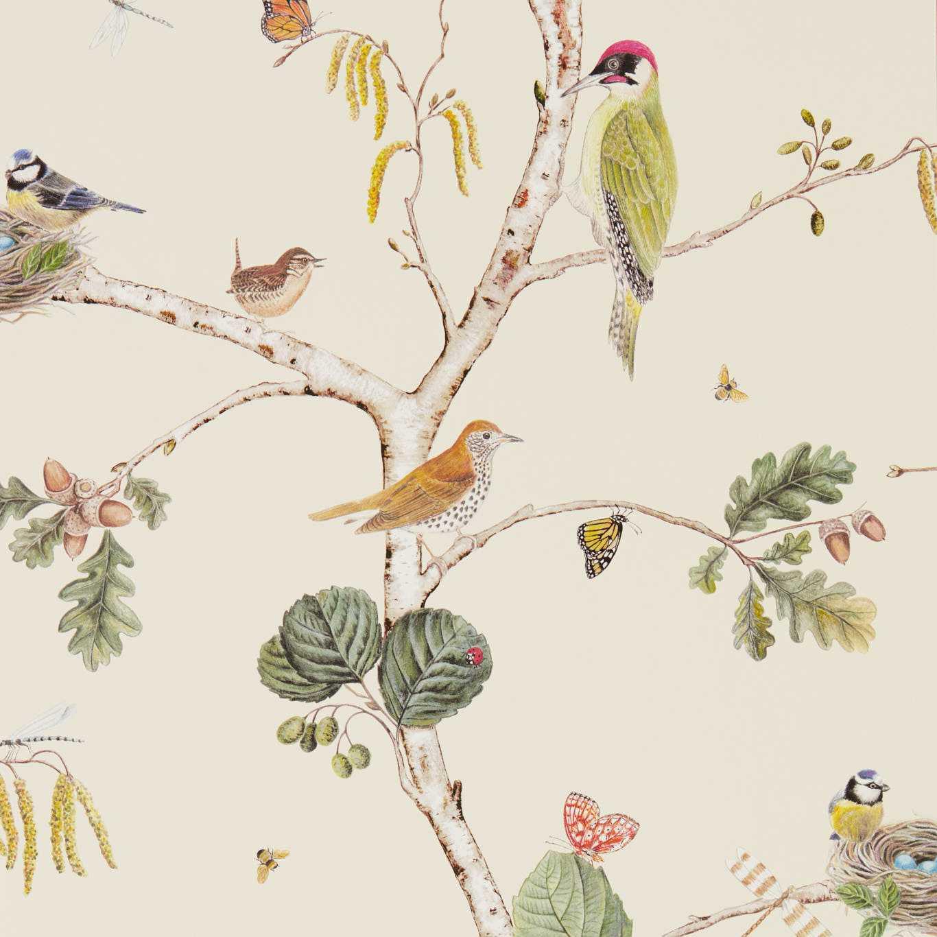 Sanderson Woodland Chorus Cream/Multi Wallpaper by Sanderson