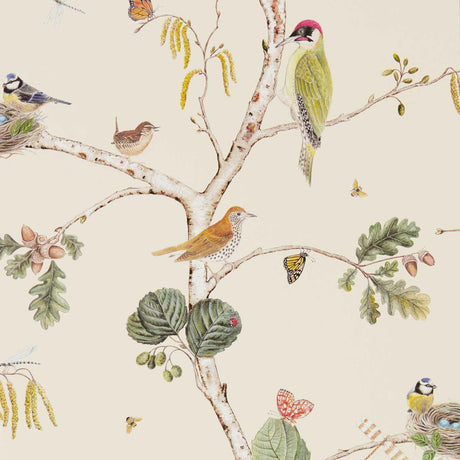 Sanderson Woodland Chorus Cream/Multi Wallpaper
