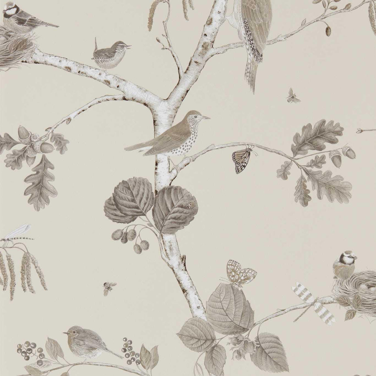 Sanderson Woodland Chorus Sepia/Neutral Wallpaper