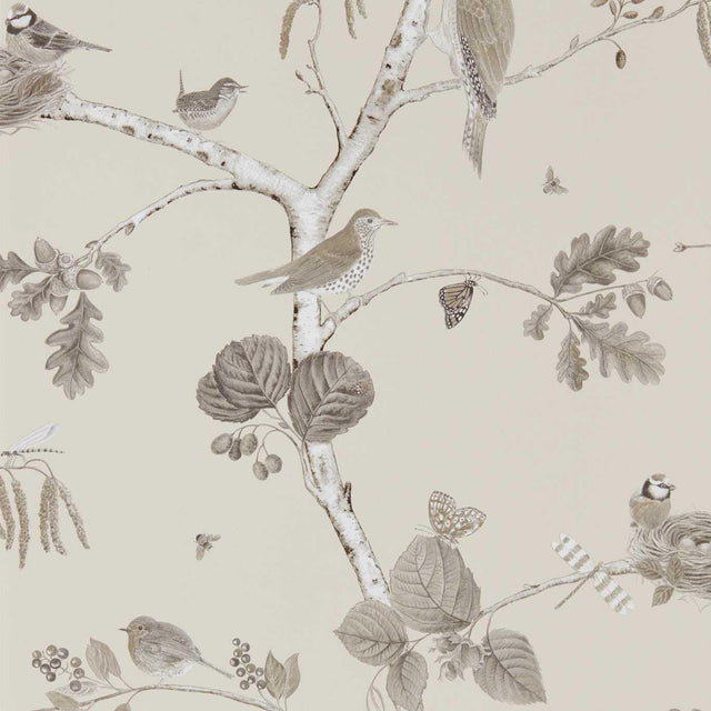 Sanderson Woodland Chorus Sepia/Neutral Wallpaper