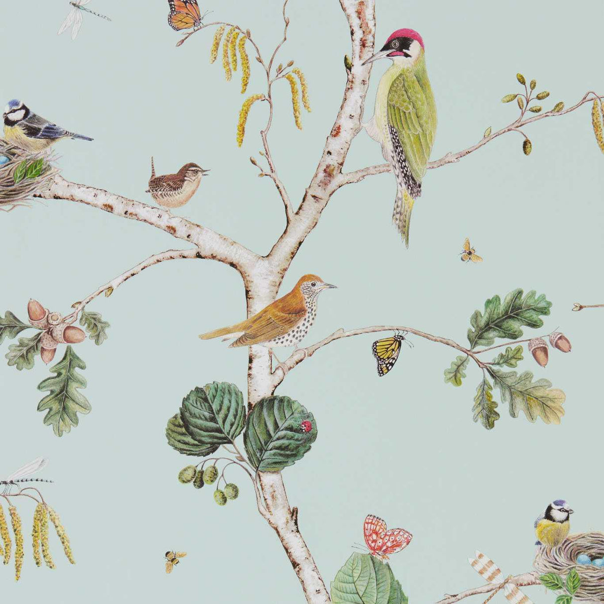 Sanderson Woodland Chorus Sky Blue/Multi Wallpaper