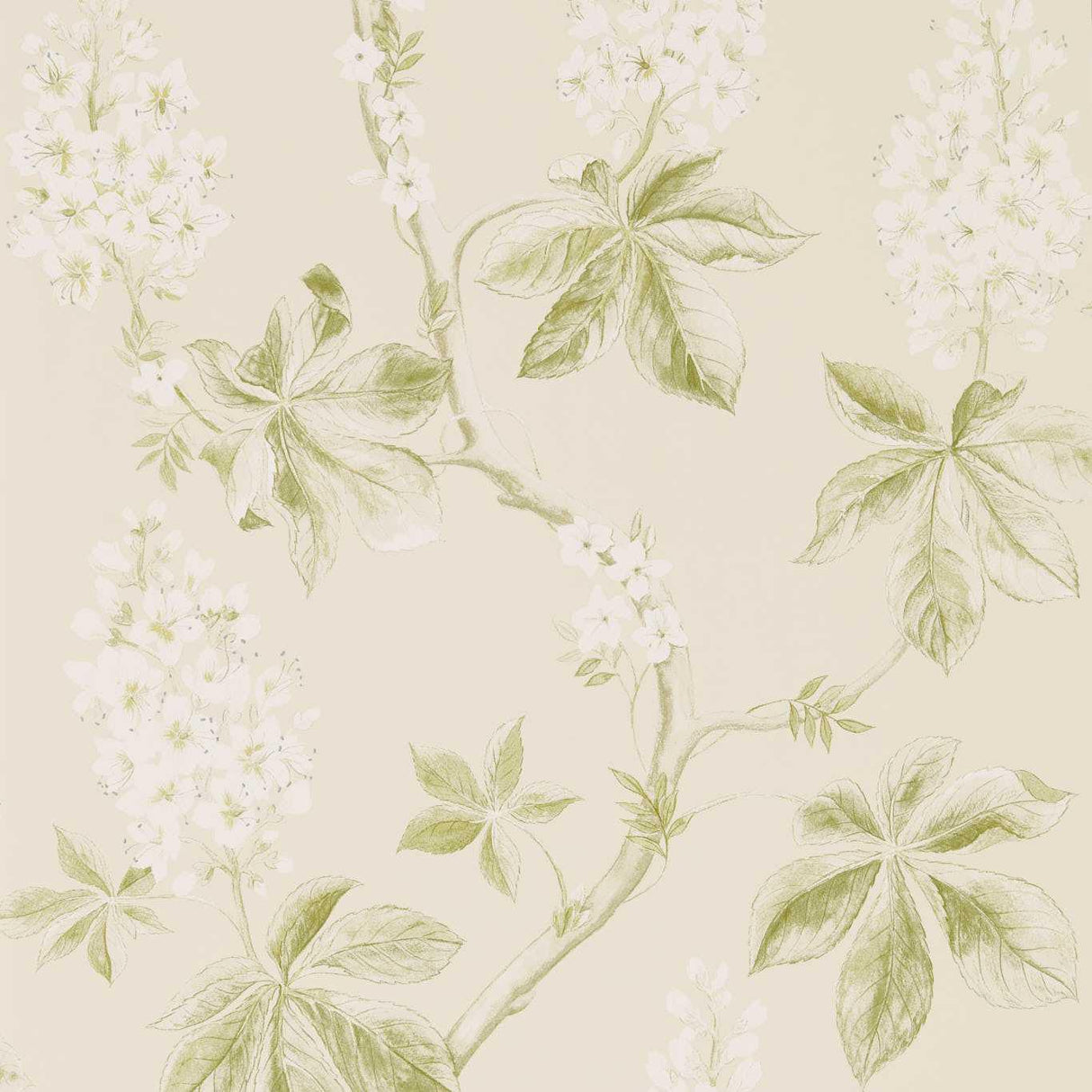Sanderson Chestnut Tree Lemon/Lettuce Wallpaper