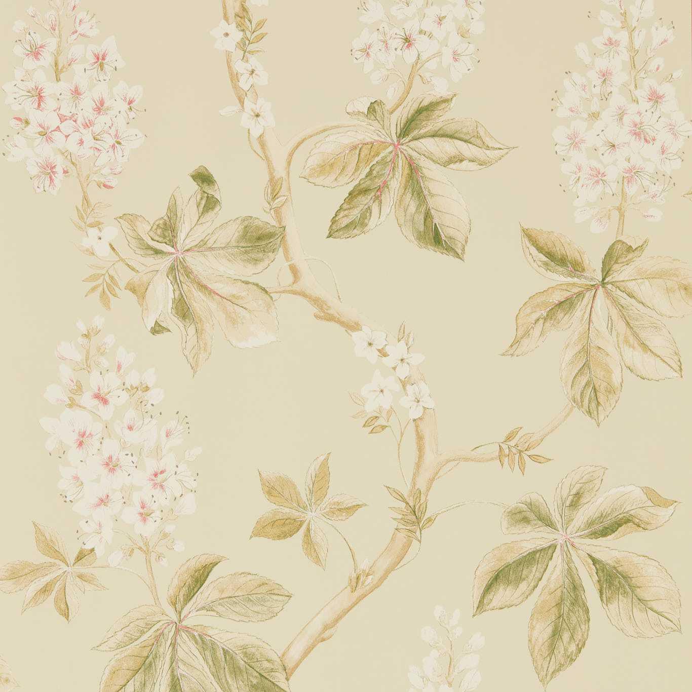 Sanderson Chestnut Tree Coral/Bayleaf Wallpaper by Sanderson