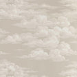 Sanderson Silvi Clouds Cloud Wallpaper