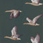 Sanderson Elysian Geese Amsterdam Green Wallpaper