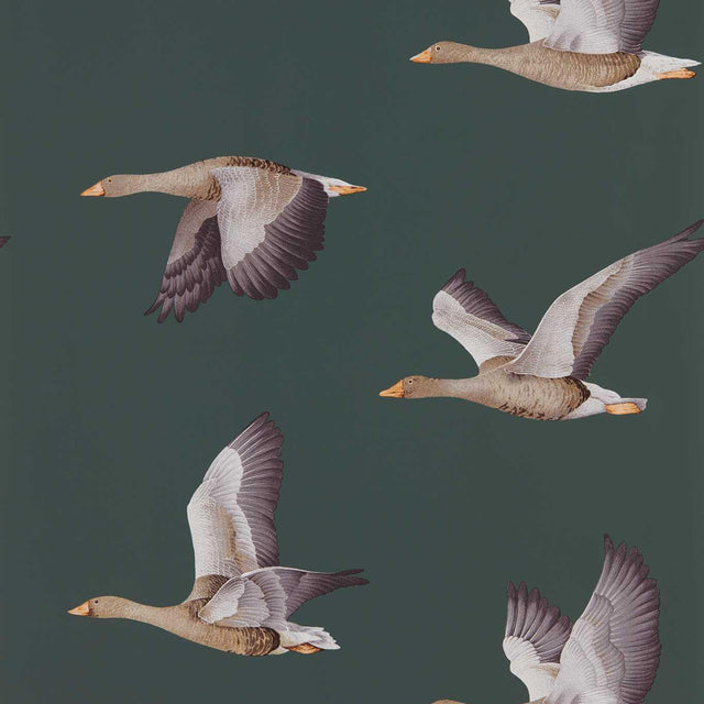 Sanderson Elysian Geese Amsterdam Green Wallpaper